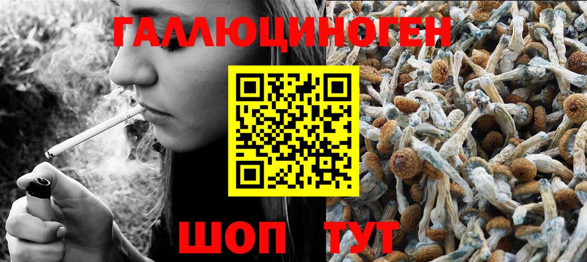 Псилоцибиновые грибы мицелий Абинск