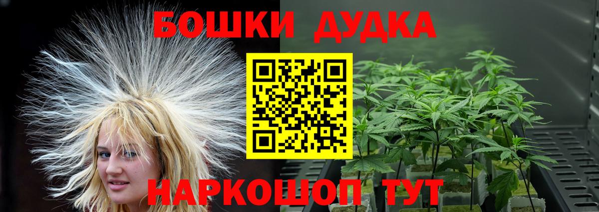 Канабис SATIVA & INDICA  Бошки марихуана планчик  Вход с VPN  Абинск  Бошки Шишки план 